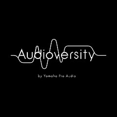 凯发k8国际专业音响教育培训开展全新“Audioversity ”计划